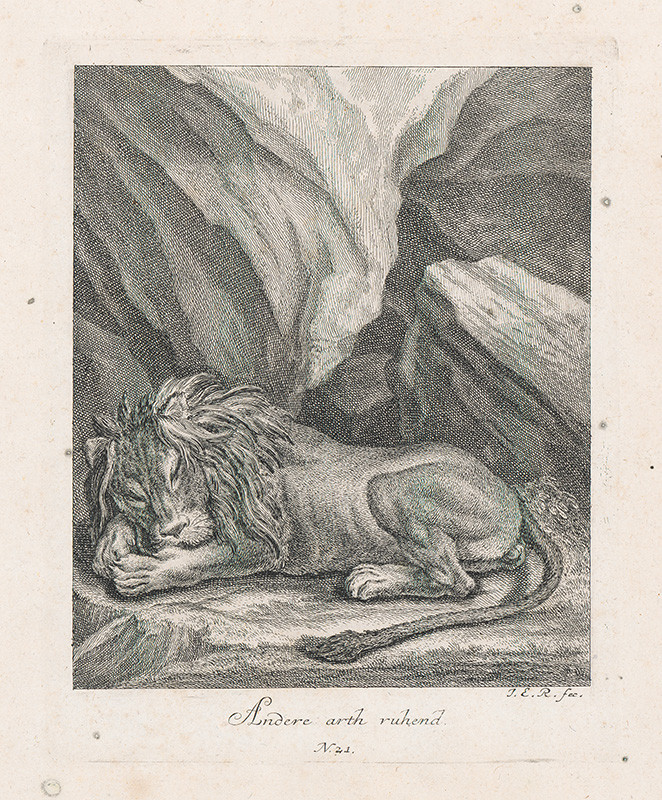 Ridinger, Johann Elias | Spiaci lev | Displayed motifs: Lion, White dove, Carnivore, 