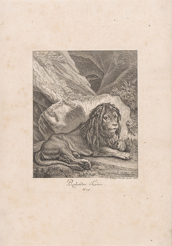 Ridinger, Johann Elias | Odpočívajúci lev | Displayed motifs: Lion, 