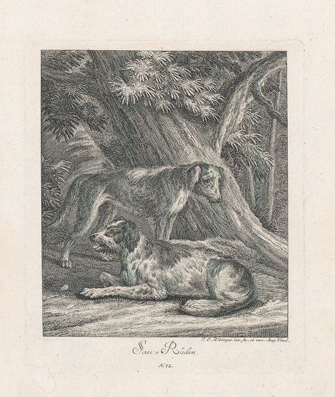 Ridinger, Johann Elias | Loveckí psi | Displayed motifs: Carnivore, Dog, Plant, Human face, Flower, Animal, 