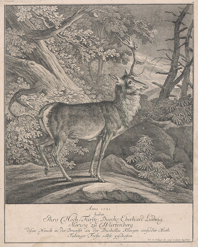 Ridinger, Johann Elias | Stojaci jeleň | Displayed motifs: Deer, Latin cross, Animal, Tree, 