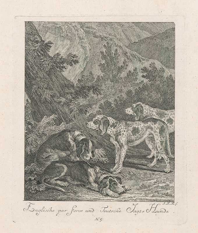 Ridinger, Johann Elias | Loveckí psi | Displayed motifs: Dog, Animal, Tree, 
