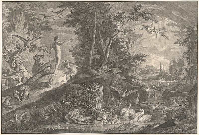 Ridinger, Johann Elias | Adam | Displayed motifs: White dove, Tree, Person, Putto, Man, Angel, 