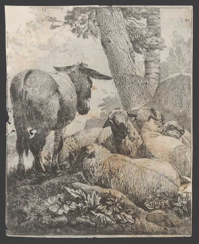 Roos, Johann Heinrich | Ovce a somárik | Displayed motifs: Animal, Tree, Sheep, 