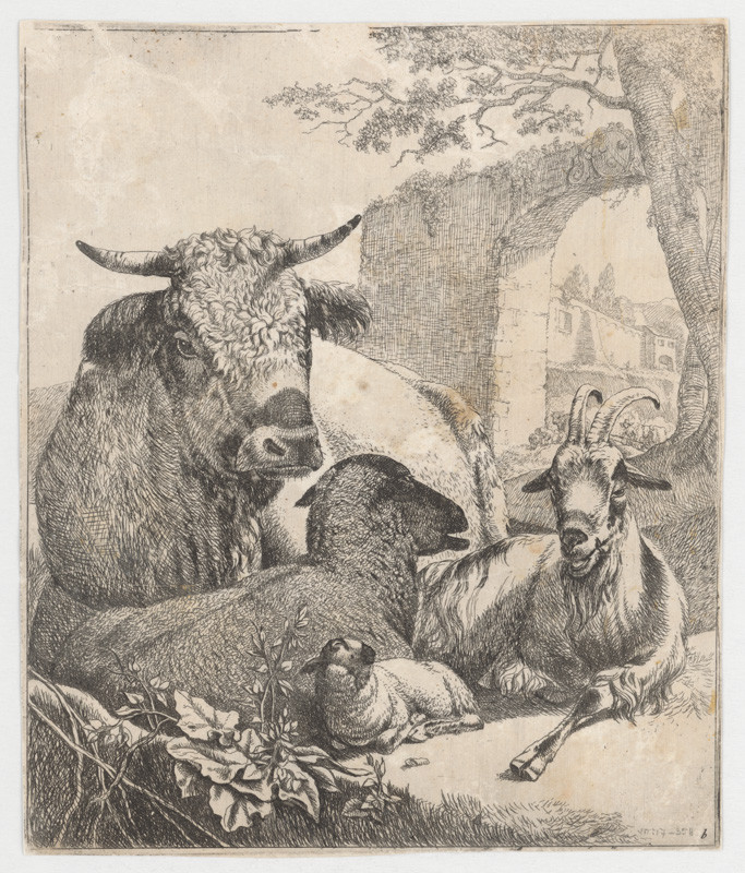 Roos, Johann Heinrich | Ovce | Displayed motifs: Animal, Goat, Cattle, 