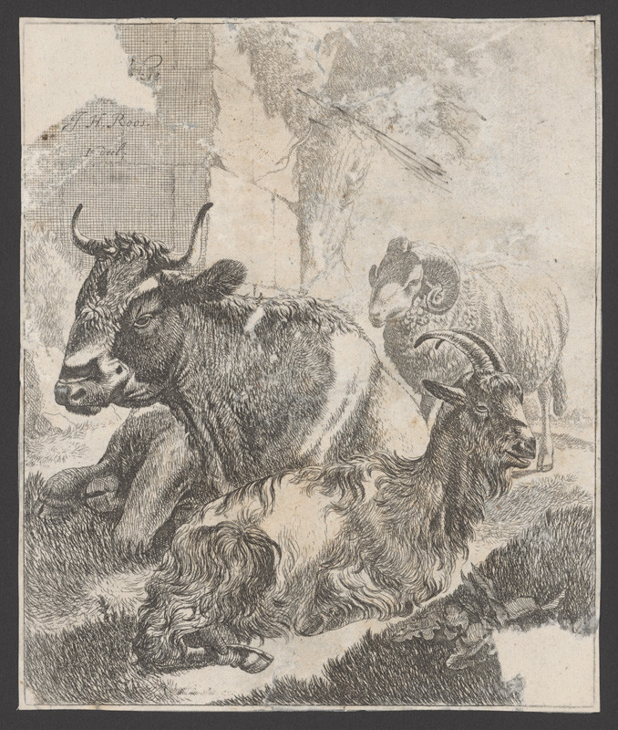 Roos, Johann Heinrich | Titulný list k sérii domácich zvierat | Displayed motifs: Goat, Animal, Cattle, Sheep, Dog, 