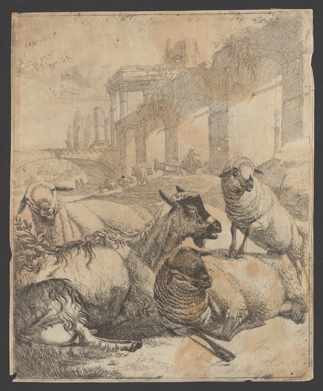 Roos, Johann Heinrich | Ovce a kozy | Displayed motifs: Animal, Sheep, 