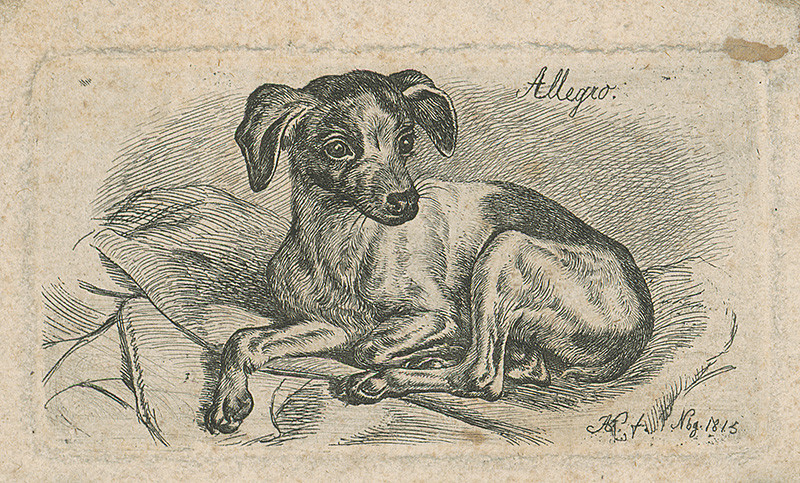 Stredoeurópsky grafik A.G.- z 19. storočia | Pes | Displayed motifs: Dog, Putto, 