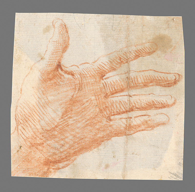 Stredoeurópsky maliar z 18. storočia | Štúdia otvorenej ľavej ruky | Displayed motifs: Human hand, Angel, 