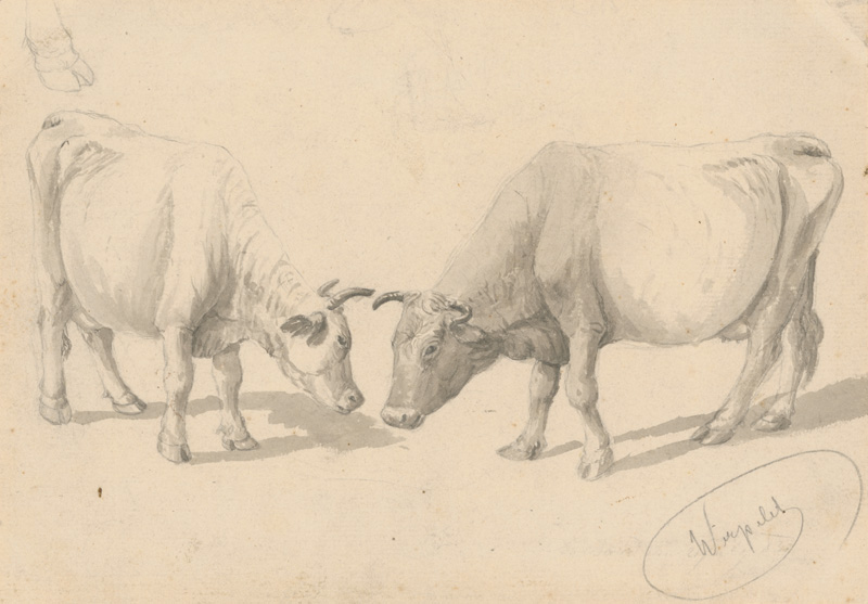 Scheidlin, Friedrich Carl von | Štúdia kráv | Displayed motifs: Bull, Cattle, Angel, 