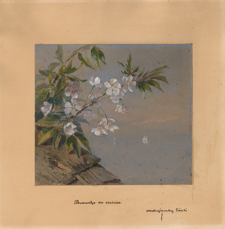 Mednyánszky, Ladislav | Vetvička čerešňového kvetu | Displayed motifs: Flower, White dove, Houseplant, Plant, 
