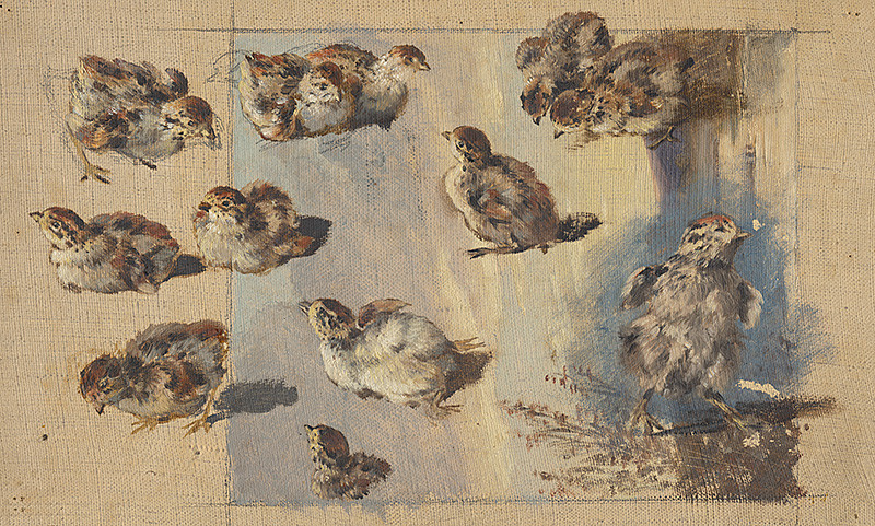 Scheidlin, Friedrich Carl von | Štúdia kuriatok | Displayed motifs: Sparrow, White dove, Bird, Angel, Putto, 