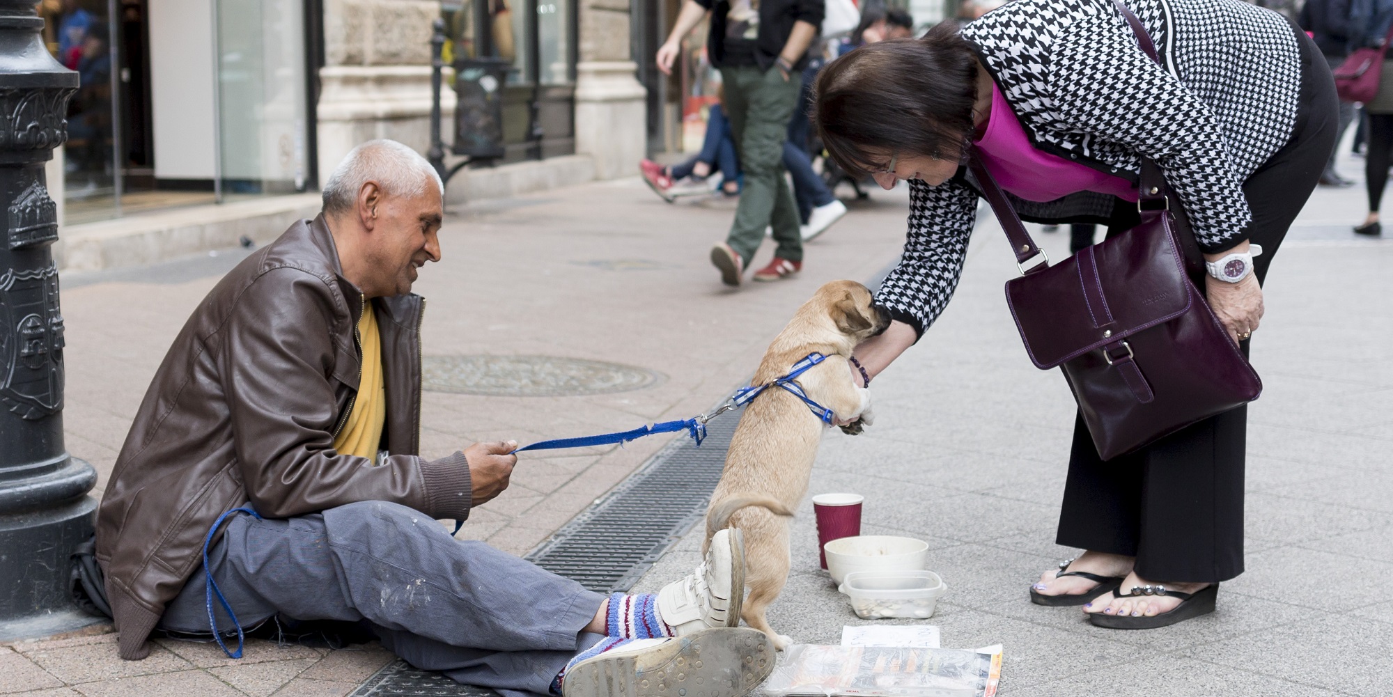 should homeless have dogs