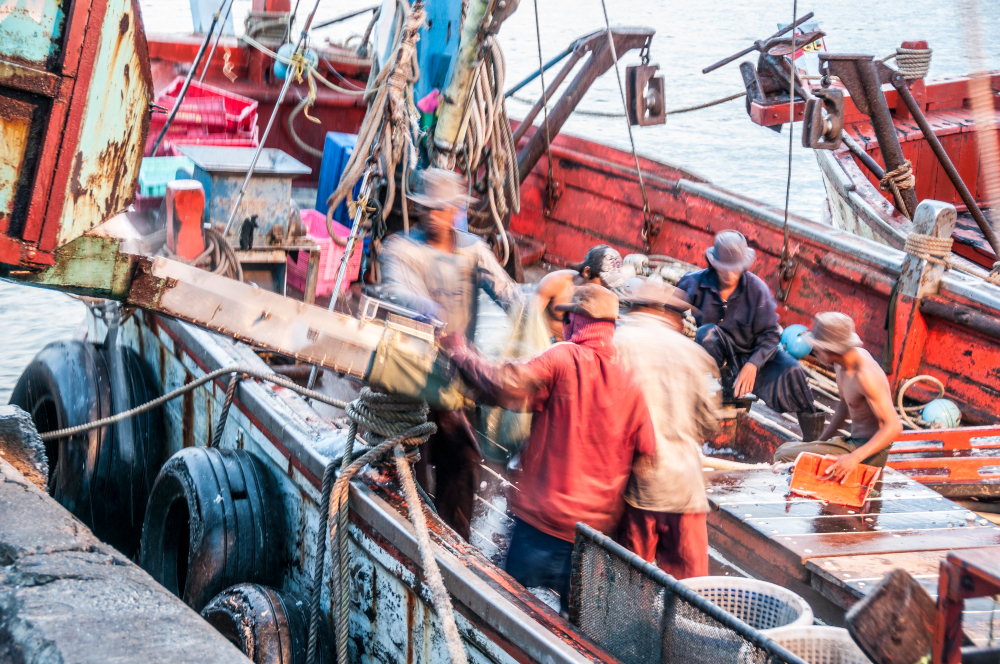 Screening highlights exploitation in fishing industry TFN