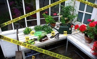 Project Scotland has even created a mock crime scene