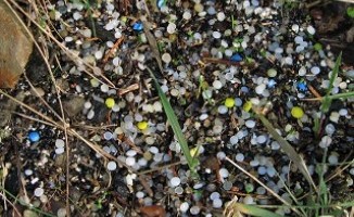 Nurdles washed up near Edinburgh