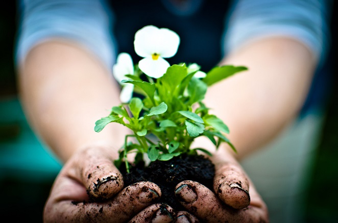 Digging for better mental health