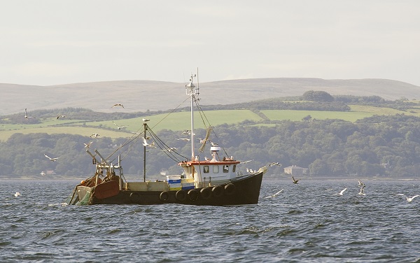 Song of the Clyde: saving Scotland’s greatest river