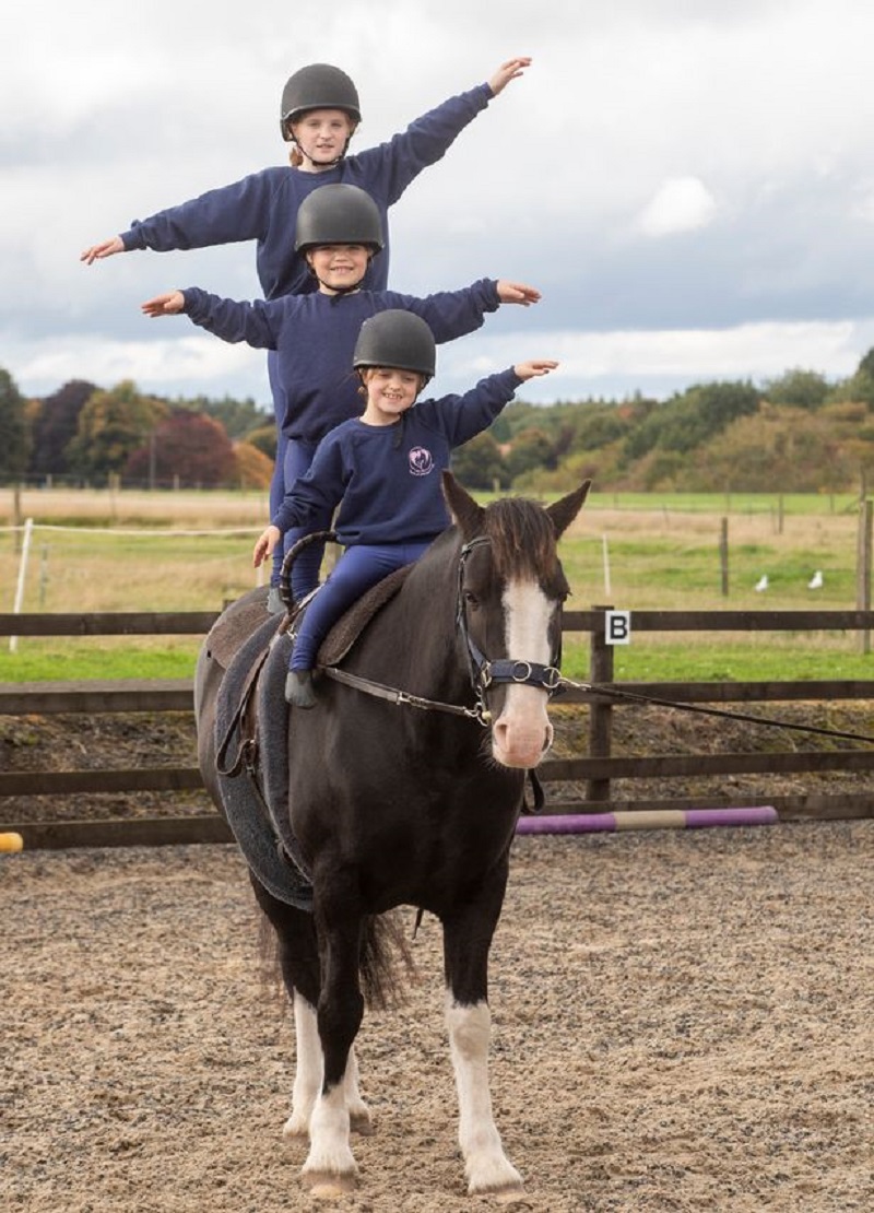 Disabled daredevils perform stunning gymnastics displays on moving horses