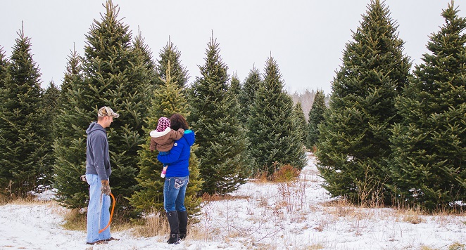 4. If buying a real tree buy a charity one