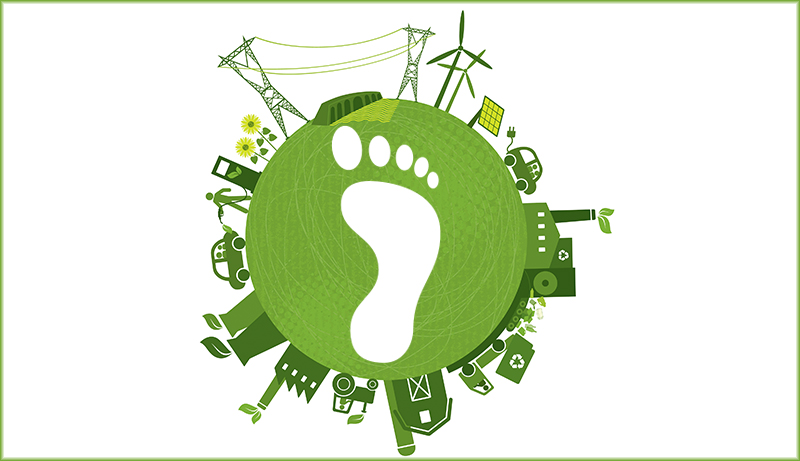 Calculate your carbon footprint