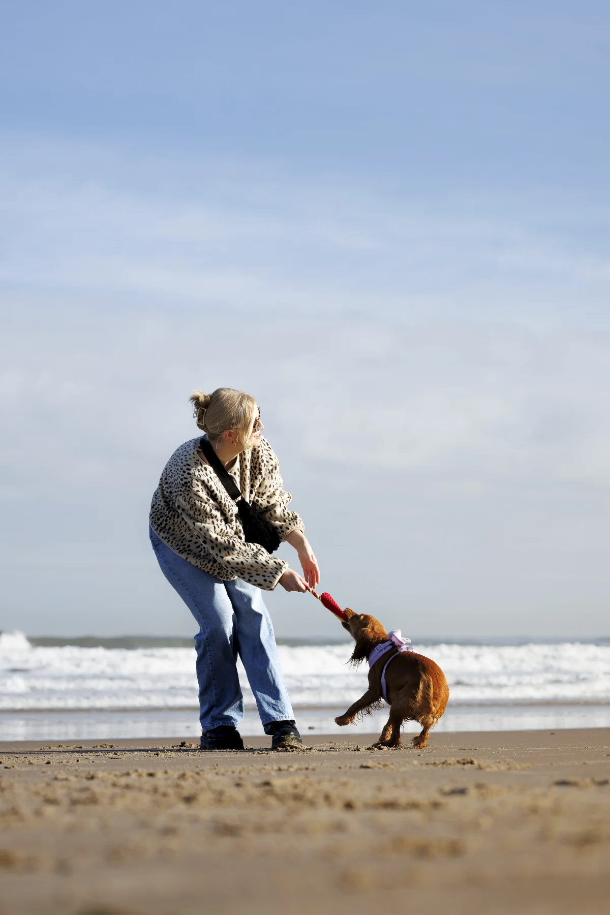 A woman in a leopard print jacket playing with a small brown dog on a sandy beach.