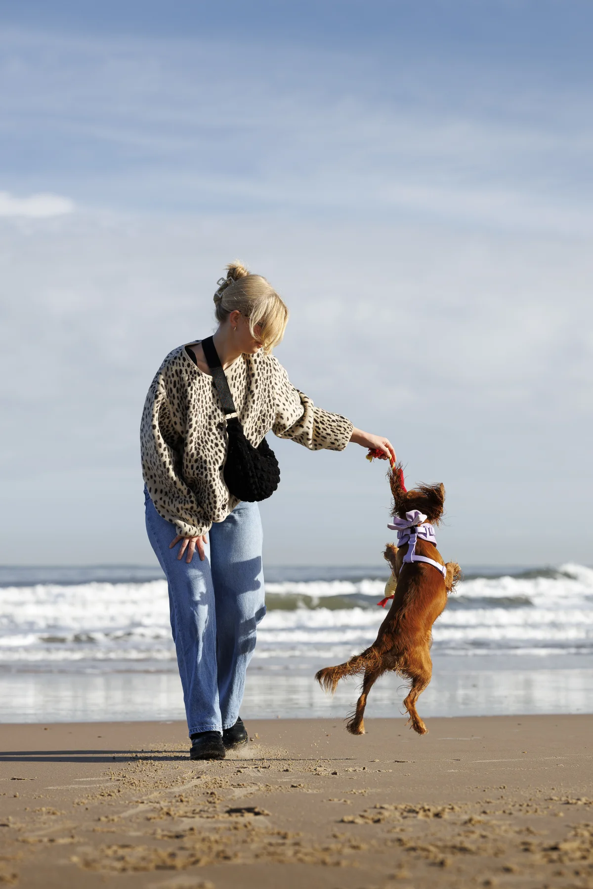 A woman in a leopard print top and jeans playing with a small brown dog on a sandy beach.