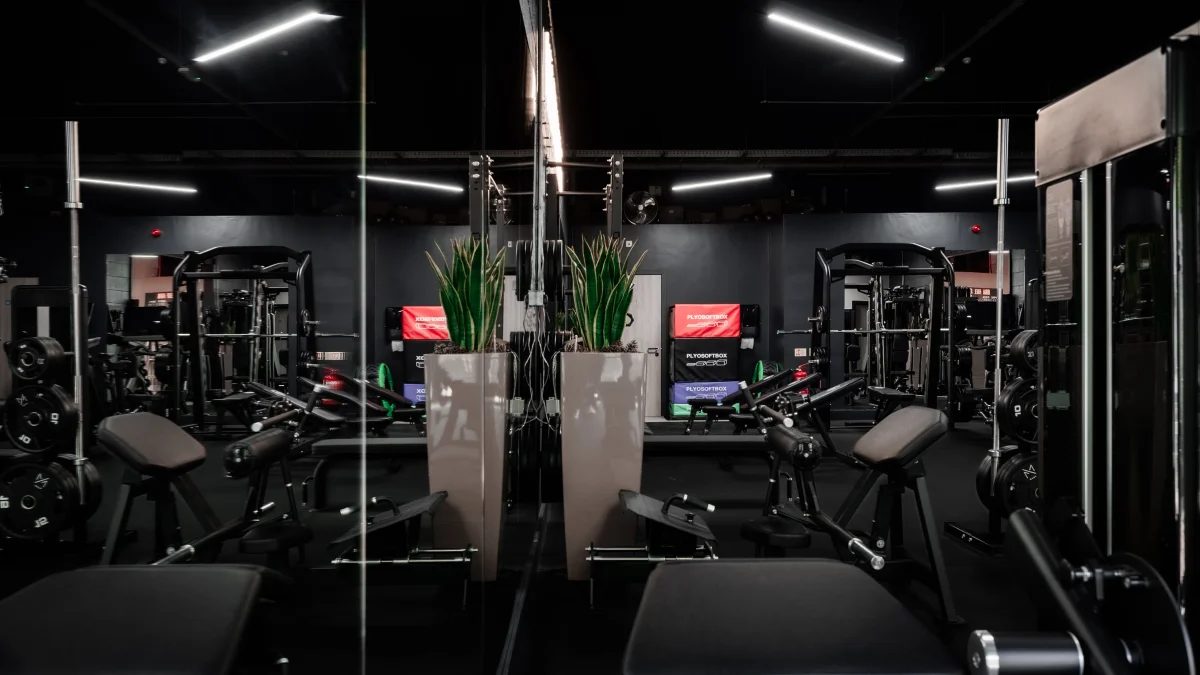 Modern gym interior with weightlifting machines, dumbbells, and tall indoor plants under bright lights.