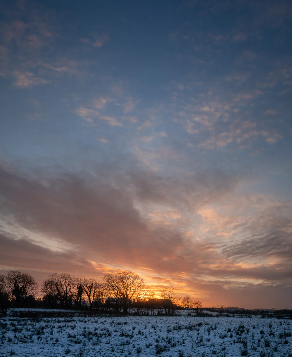 A snowy field under a dramatic orange and blue twilight sky with silhouettes of bare trees on the horizon.