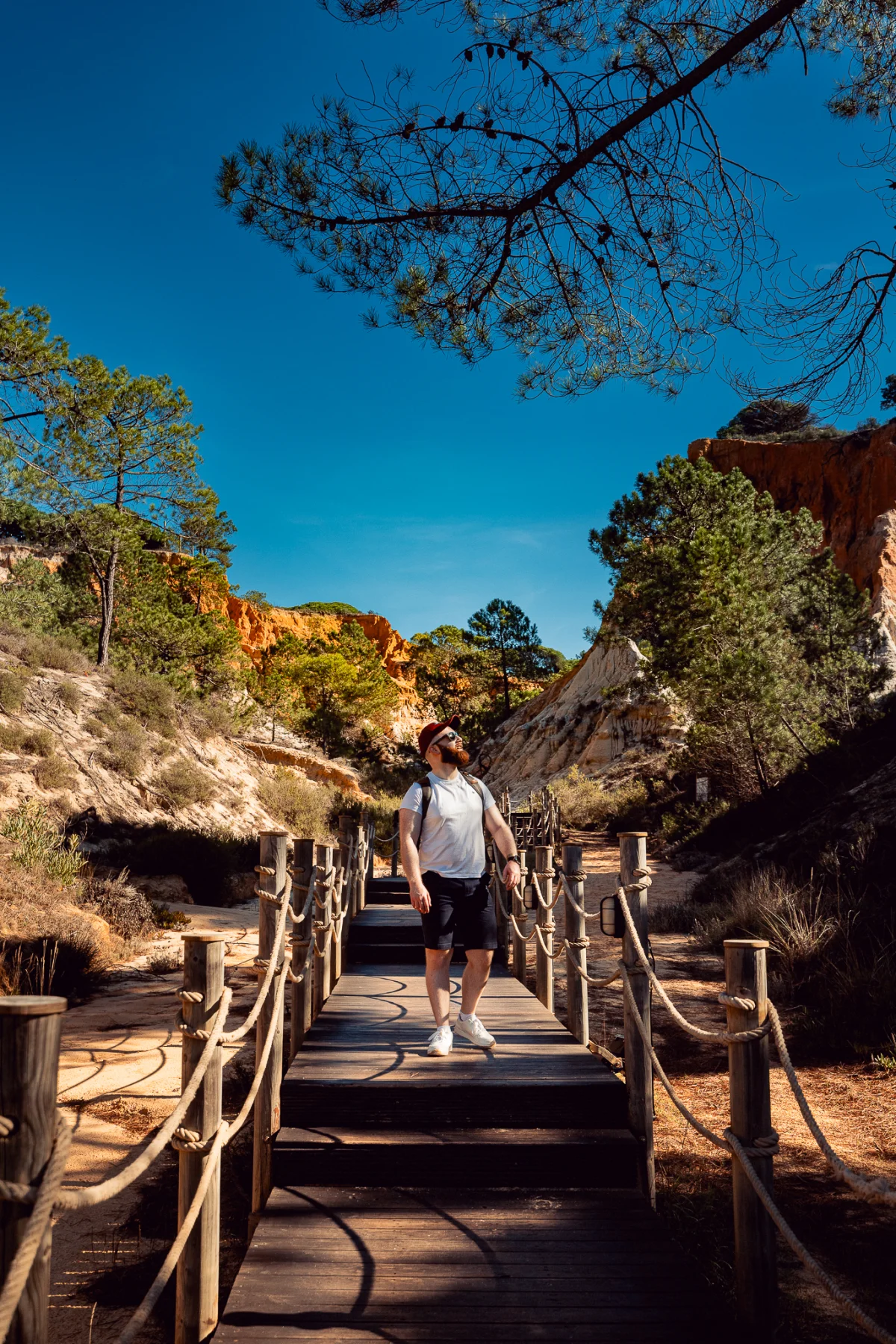 Man standing on a wooden boardwalk in a scenic canyon with red cliffs and green trees under a clear blue sky.