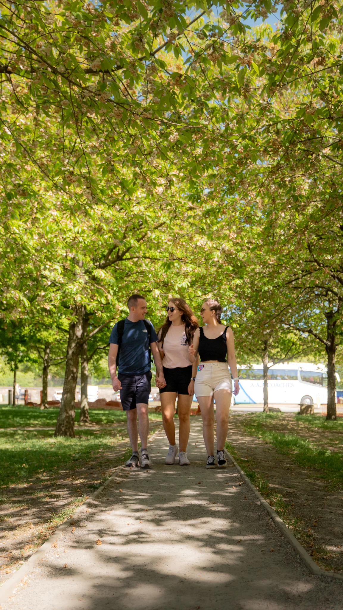 A man and two women walking hand-in-hand on a path beneath a lush green tree canopy on a sunny day.