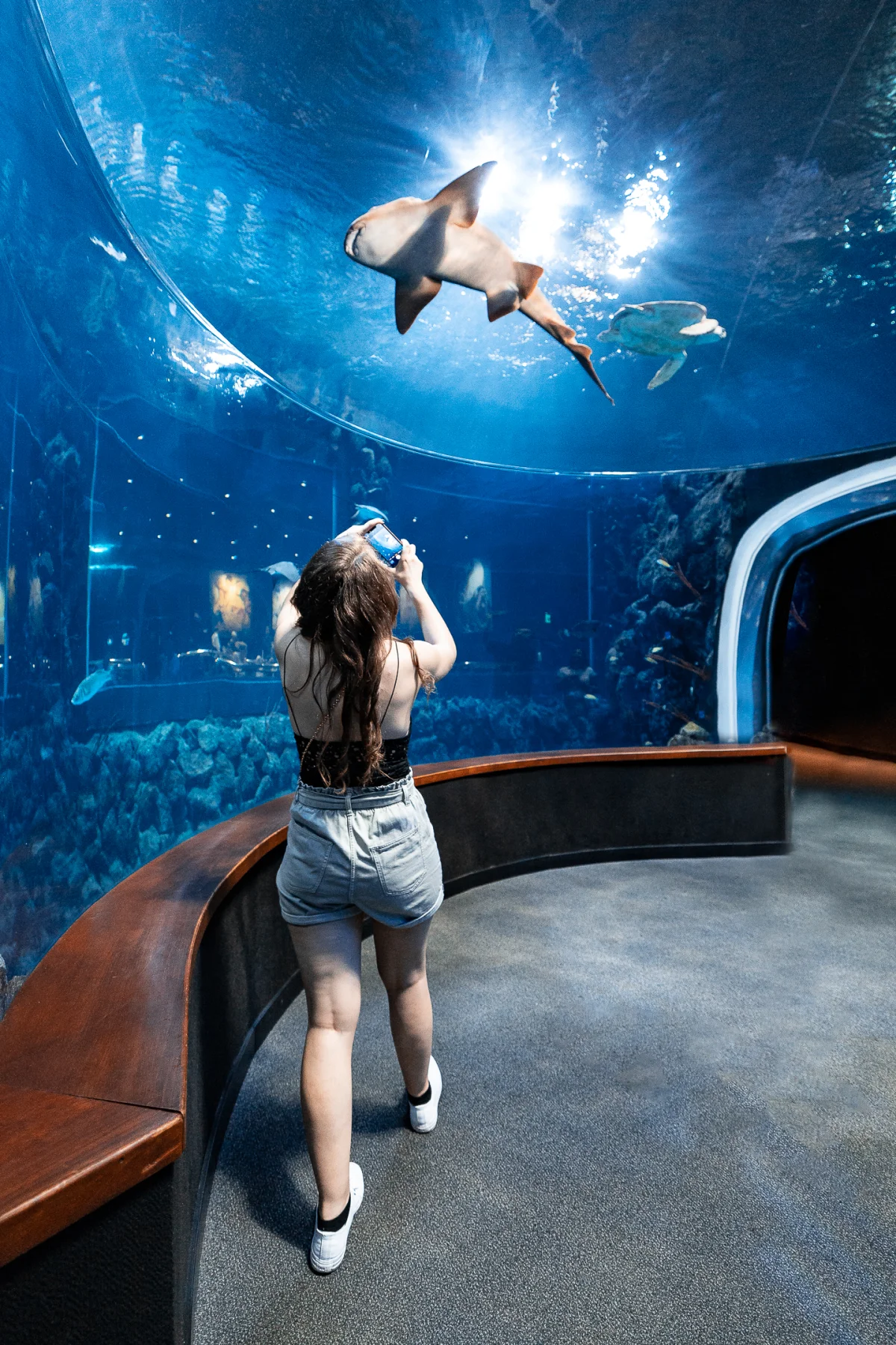 Woman taking a photo of sharks in a large aquarium tunnel with deep blue lighting.