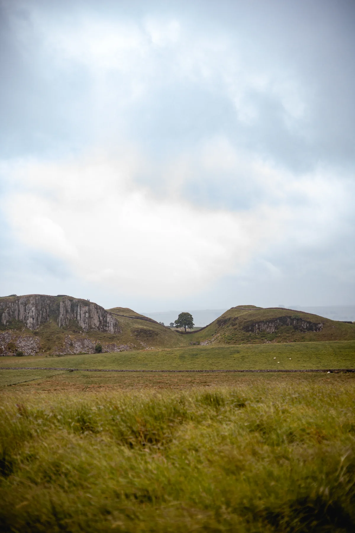Rolling green hills and rocky cliffs under a moody overcast sky with a single tree in the center.
