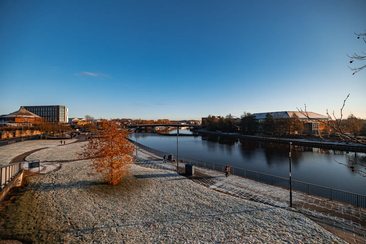 Riverside park with light snow and an autumn tree under a clear blue sky in a modern city.