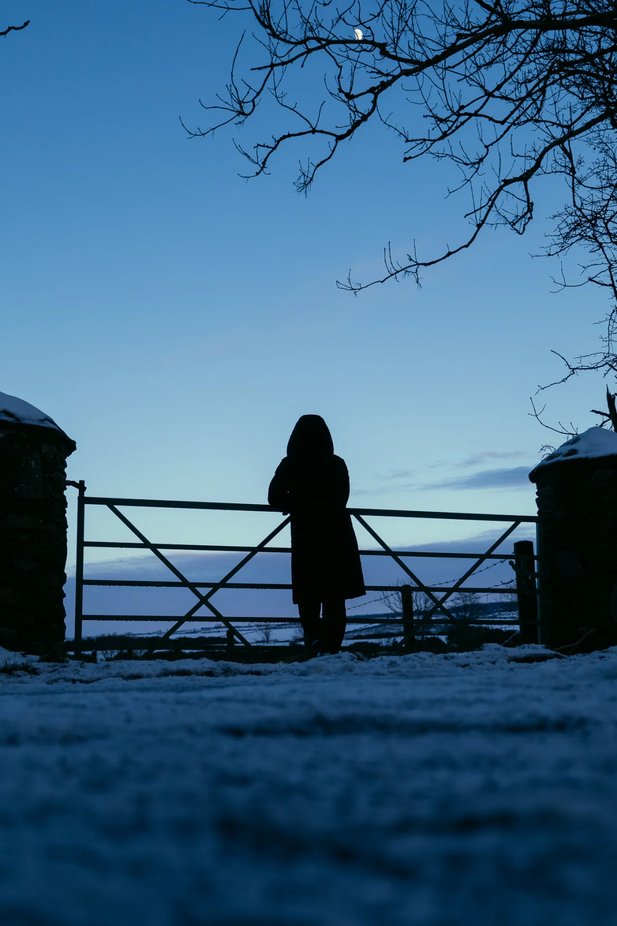 Silhouette of a person in a hooded coat standing by a gate in a snowy landscape under a blue twilight sky.