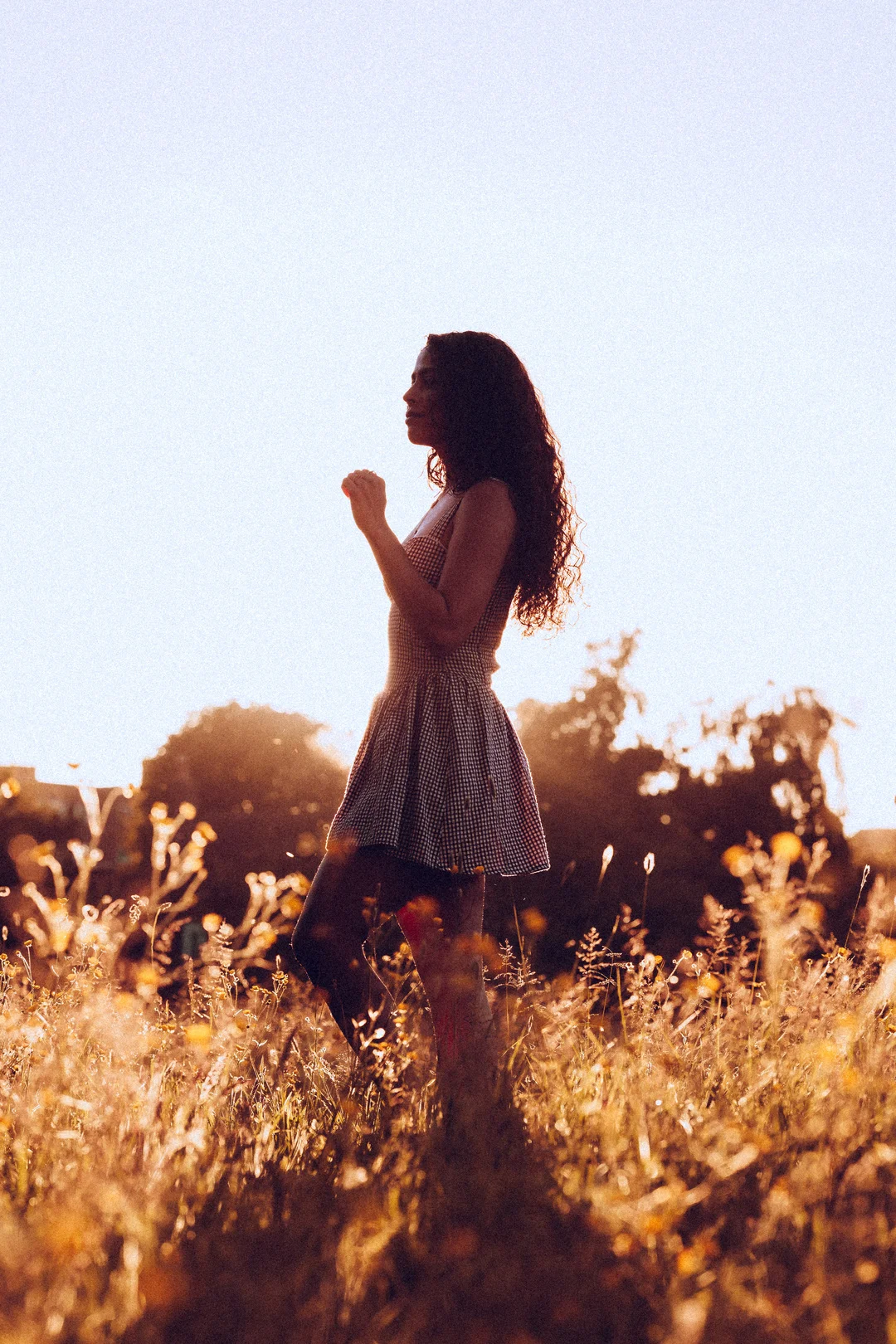 Profile silhouette of a woman with curly hair in a sun-drenched field of golden grass during golden hour.