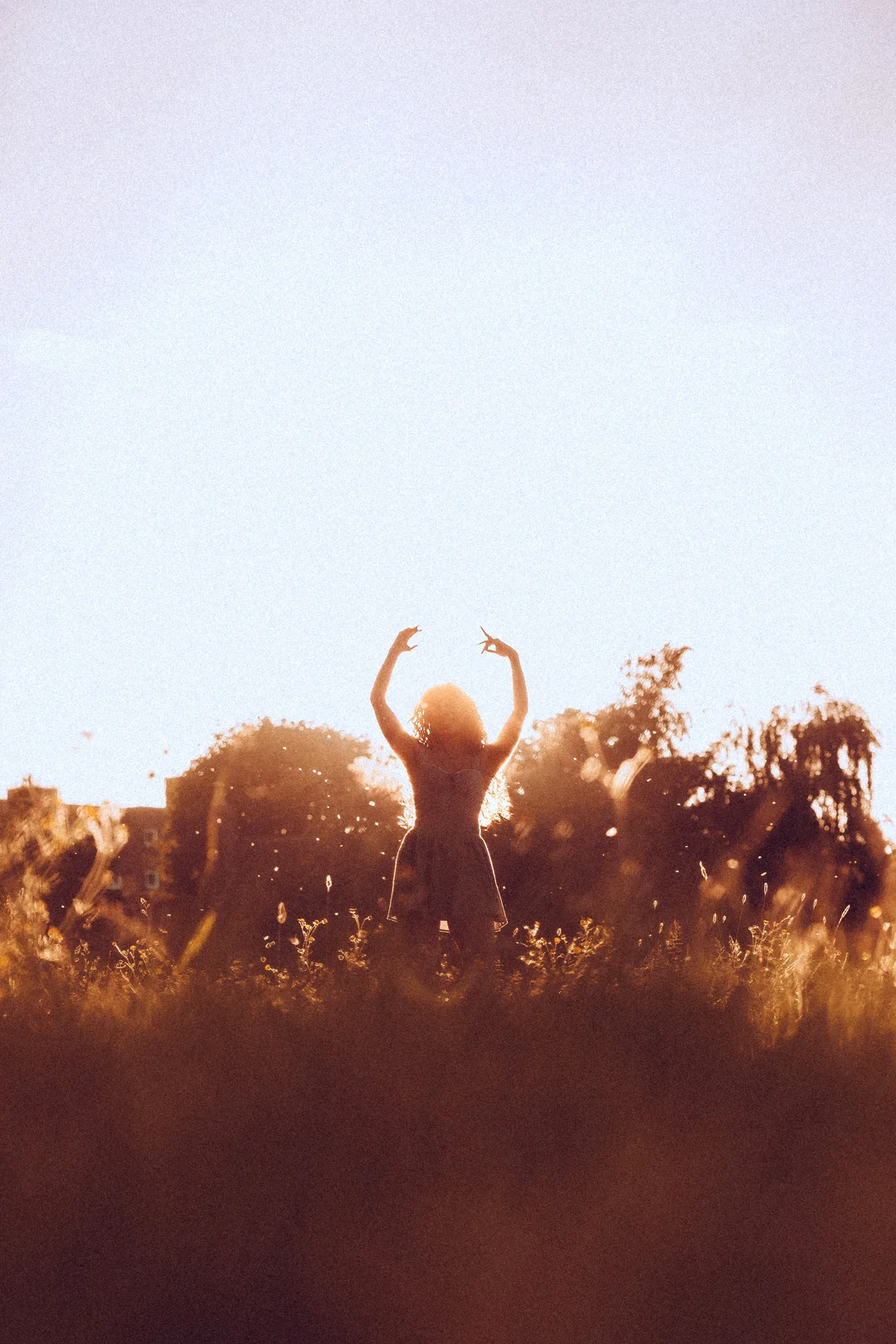 Silhouette of a person with arms raised in a golden field at sunset, creating a dreamy atmosphere.