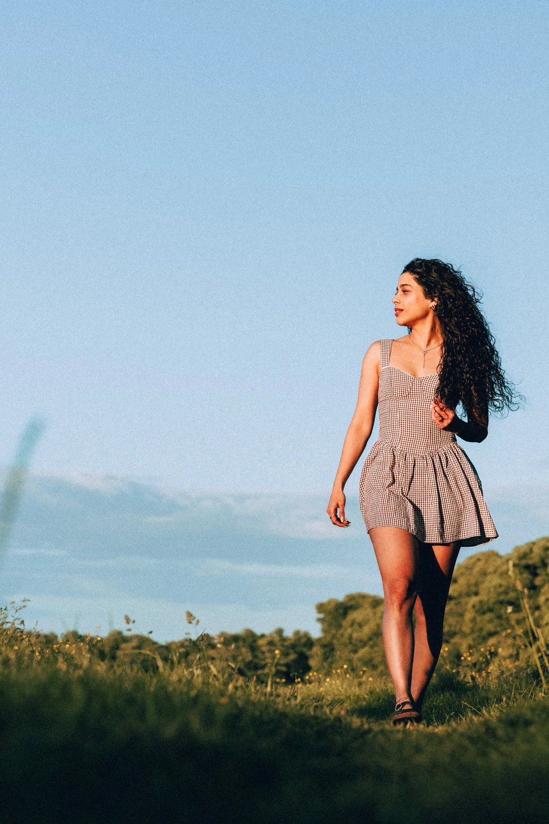 Woman with long curly hair in a red gingham dress standing in a grassy field under a blue sky.
