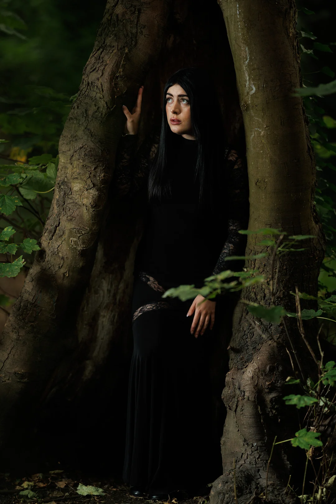 A woman with long black hair in a black lace dress posing between two large tree trunks in a dark forest.