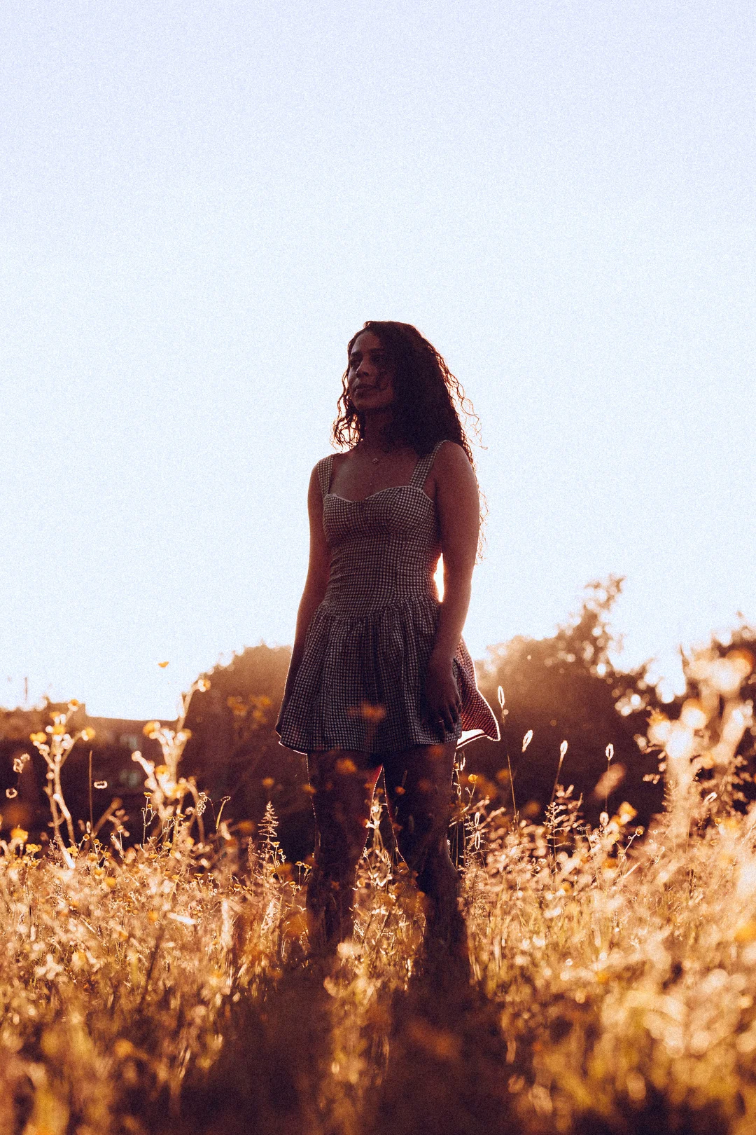 Woman in a gingham dress standing in a golden field during sunset, looking thoughtfully to the side.