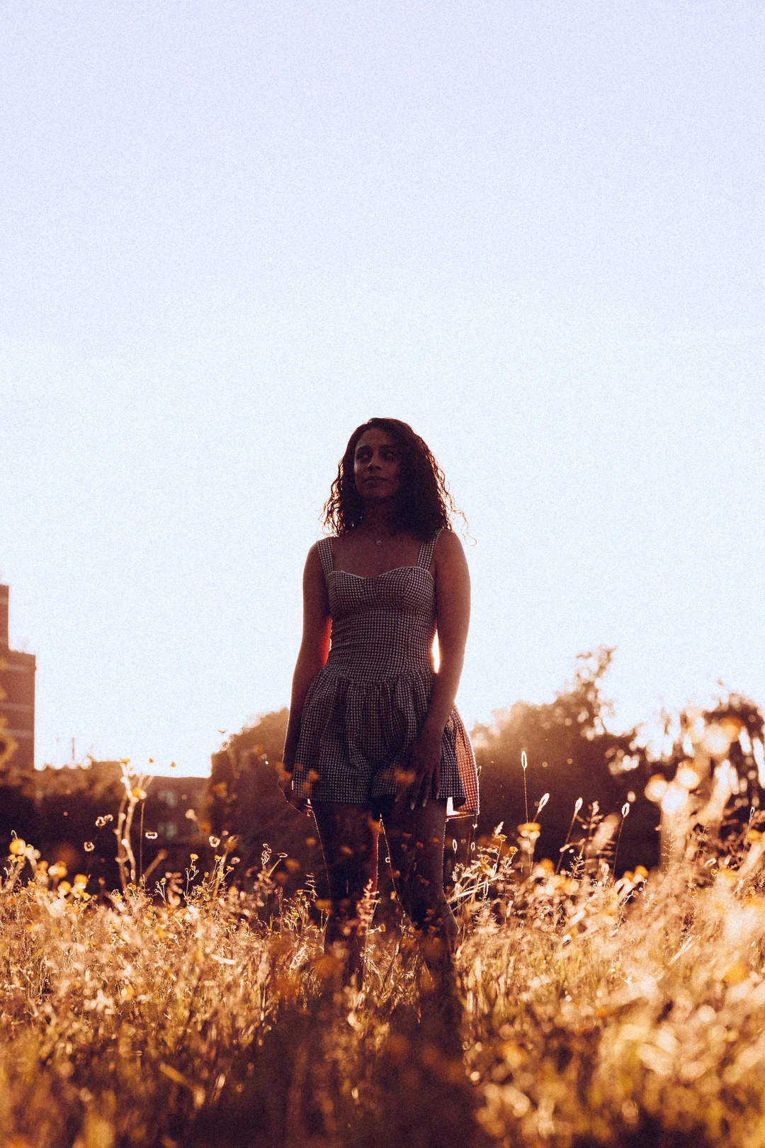Woman with curly hair in a gingham dress standing in a golden field at sunset.