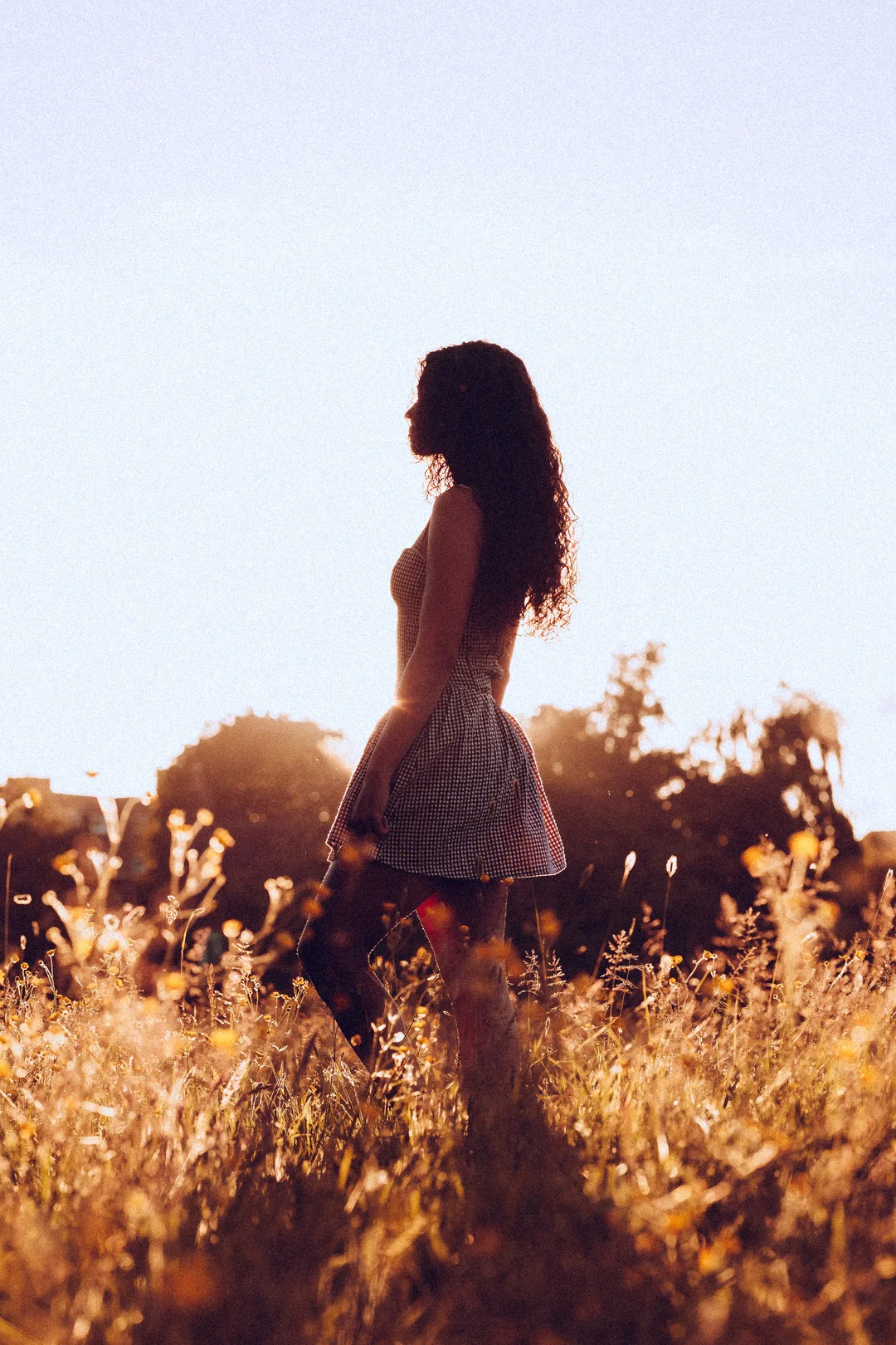 Silhouette of a woman with curly hair in a dress standing in a golden field during sunset.