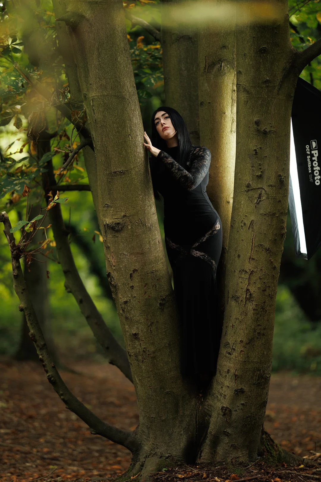 Woman in a long black lace dress posing between two large tree trunks in a forest.
