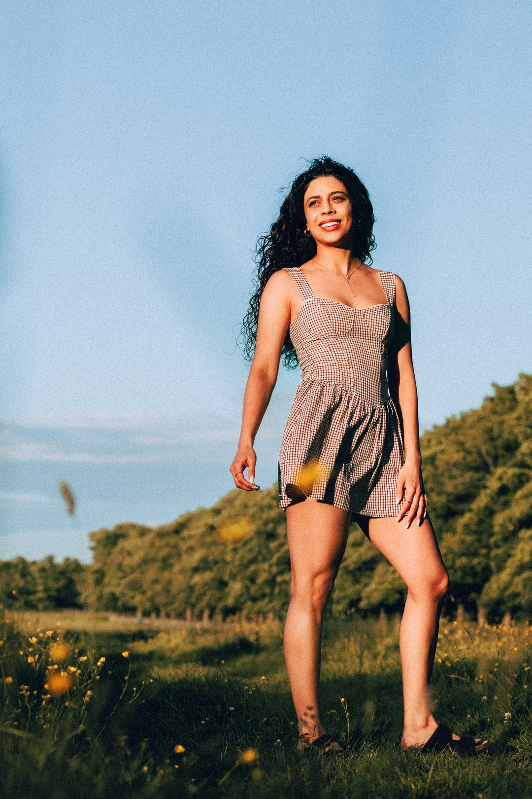 A woman with curly hair in a brown gingham dress standing in a sunny grassy field.