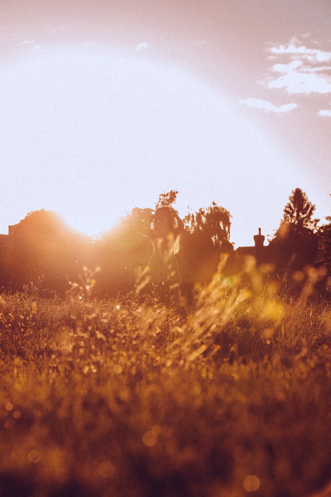 Silhouette of a person in a golden field during sunset with a strong sun flare.