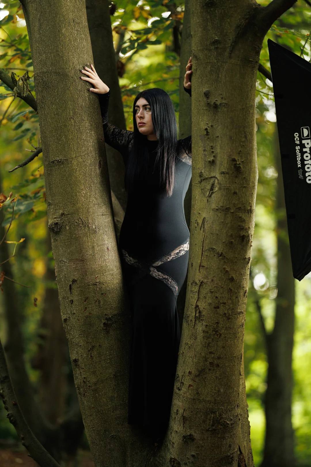 Woman with long black hair in a black lace dress posing between two trees in a forest.