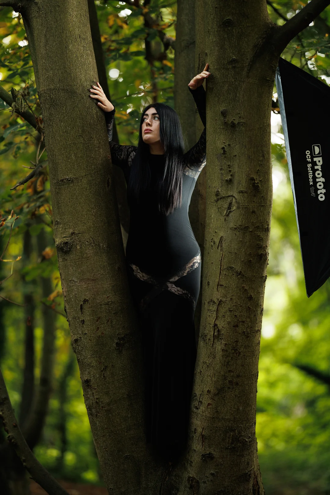 Woman with long black hair in a black lace dress posing between two trees in a lush green forest.