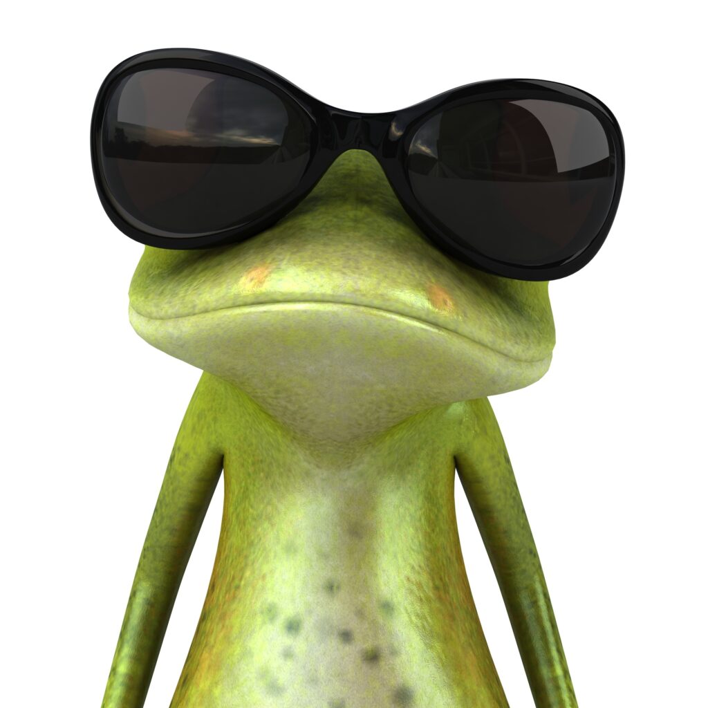 Grenouille avec des lunettes Bild