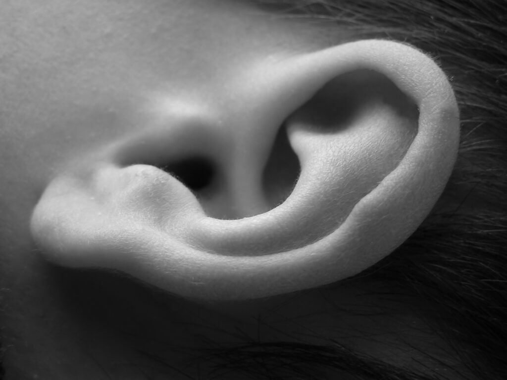 child ear