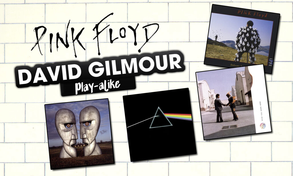 Playalike_David_Gilmour_01