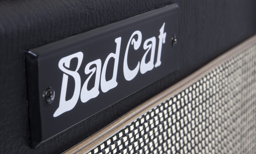 BadCat_Cougar15_020FIN